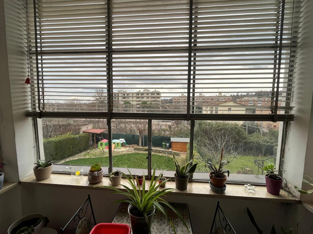 博洛尼亚Casa Filippini住宿加早餐旅馆 外观 照片